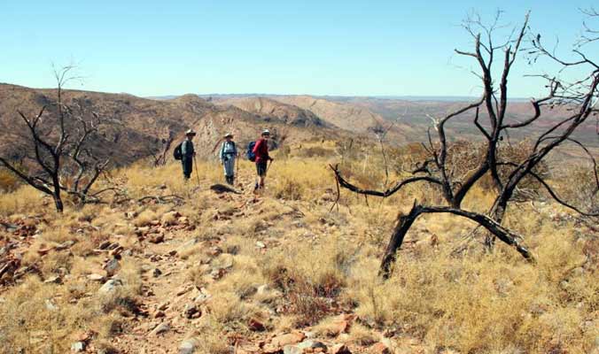 bushwalking club