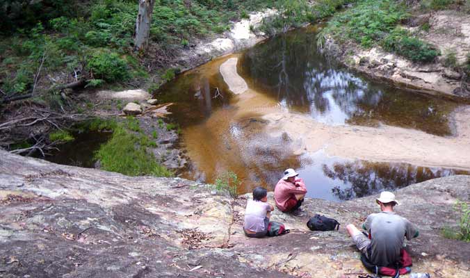 bushwalking news