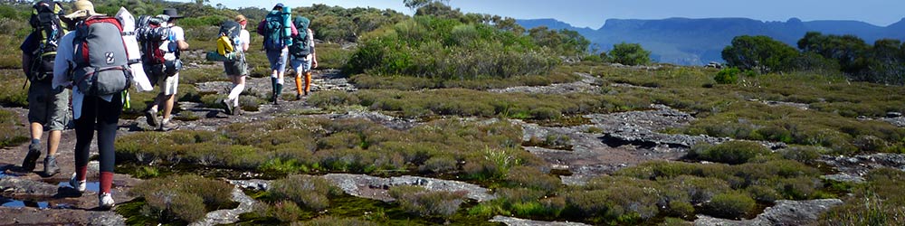 Bushwalkers on an overnight pack walk