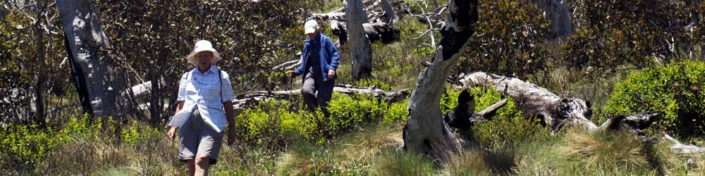 bushwalkers on a daywalk