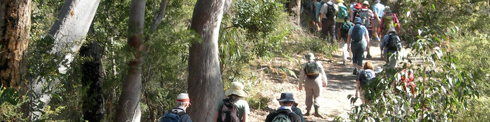 bushwalking with a club