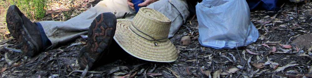 A bushwalker wearing bushwalking boots for safety and comfort in the bush