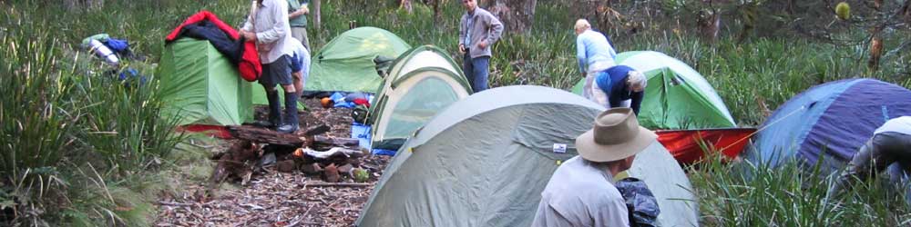 Bushwalkers camping in tents