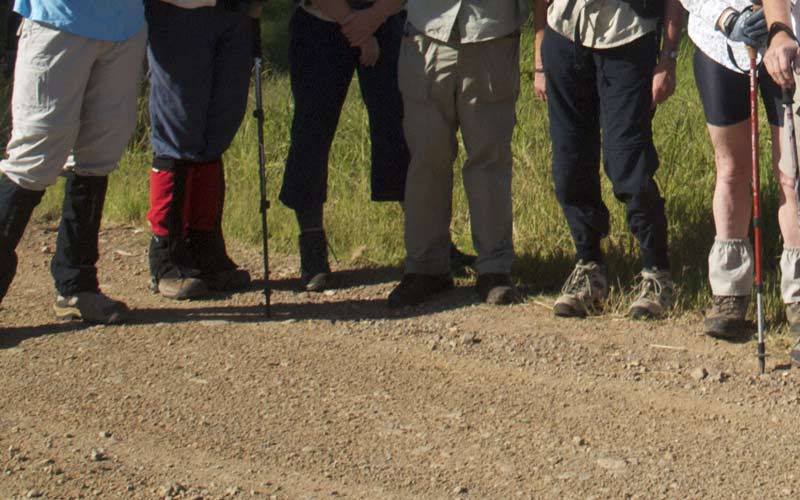 How to select safe footwear for a bushwalk